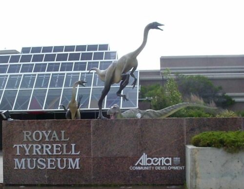 Entrer en relation avec le Musée Royal Tyrrell de Paléontologie